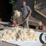 Colchones personalizados en Patagonia Eco Film Fest 2017